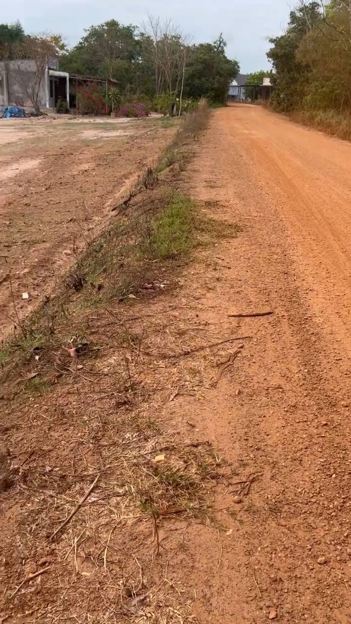 Bán Gấp 10.000m² Đất Vườn Bình Thuận - Sổ Hồng, Mặt Tiền Đường Ô Tô