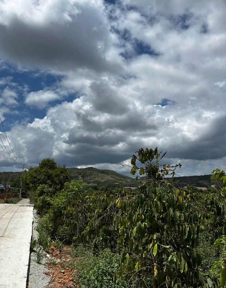 Đất Vườn 2672m² Liên Hiệp, Đức Trọng - Mặt Tiền Rộng 43m, Giá 8.5 Tỷ