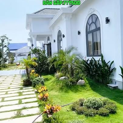 Biệt Thự Sân Vườn 1020m² Đức Hòa, Long An - Giá 7.5 Tỷ, Sổ Hồng Hoàn Công