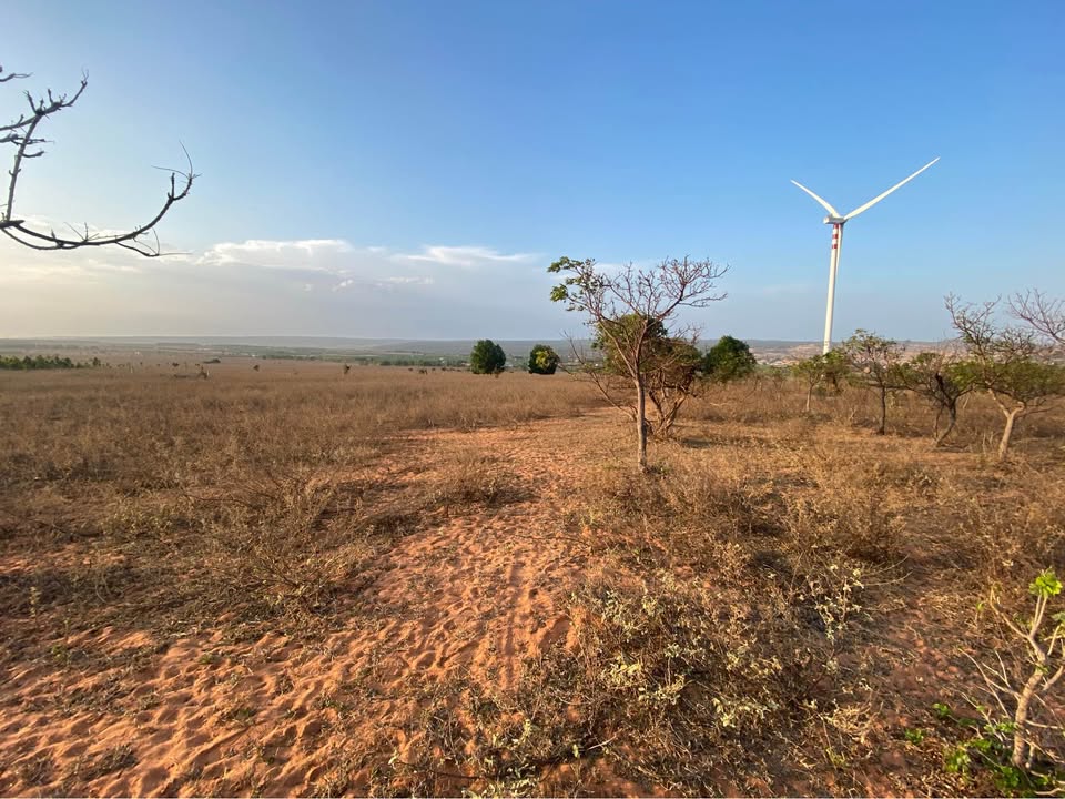 Bán Gấp Đất Nền 3324m² Hòa Thắng, Bình Thuận - View Đồng Thơ Mộng Giá Rẻ