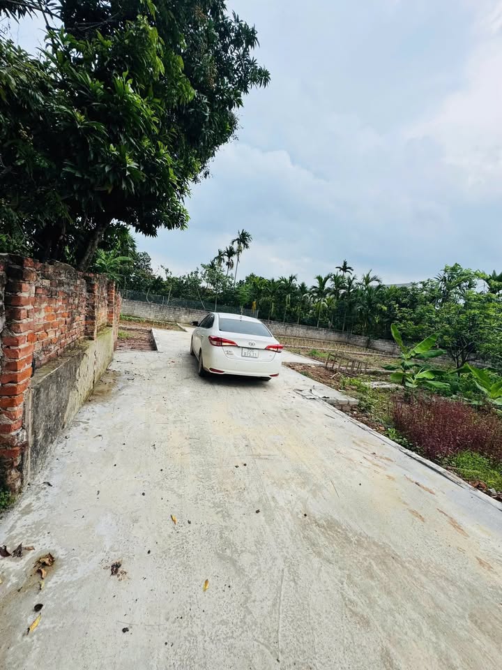 Bán Đất Nền Bạch Hạ, Phú Xuyên 102.6m² - Giá Tốt Nhất Khu Vực