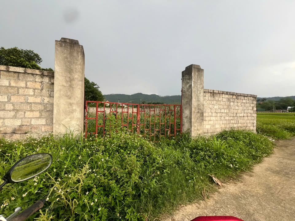 Farm 531m² Phú Mãn, Quốc Oai - View Đồng Bao La, Sẵn Sàng Đầu Tư!