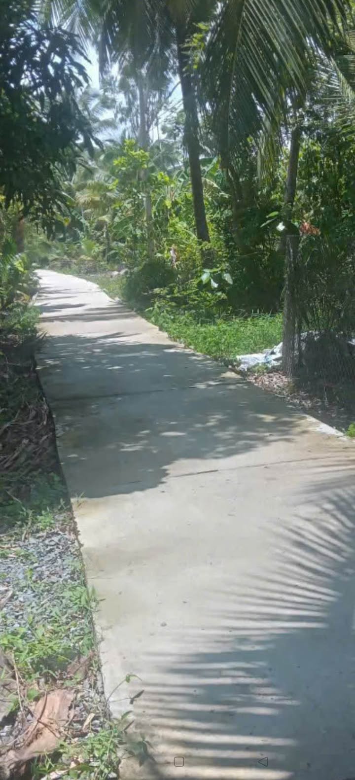 Bán Đất Nền 166m² Thổ Cư Tại Quới Sơn, Bến Tre - Gần KCN Giao Long, Giá 450 Triệu