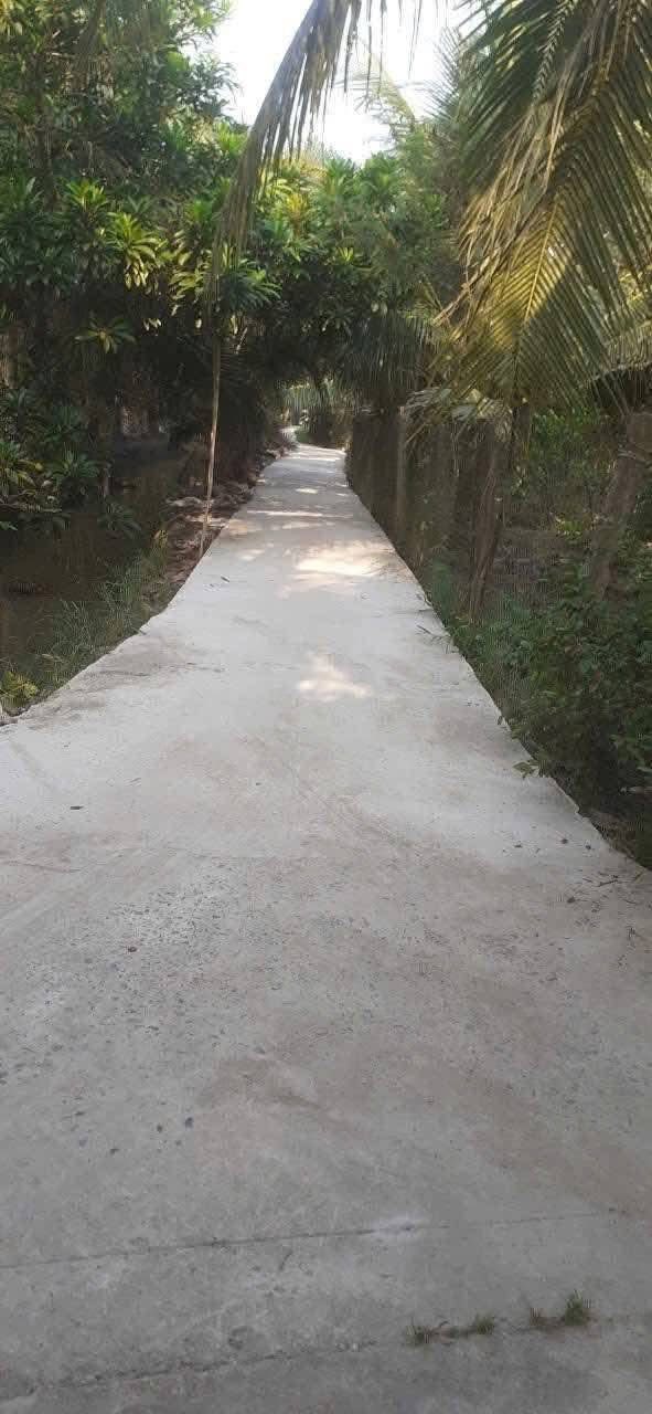 Bán đất nền Long Hòa - Bình Đại 212.5m² giá 250 triệu, sổ đỏ sẵn sàng