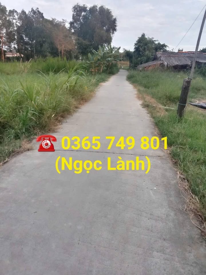 Bán Gấp Đất Vườn 1080m² Bình Đại, Bến Tre - Sổ Hồng Sẵn Sàng