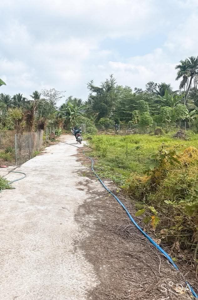 Bán Đất 1300m² Xã Sơn Đông, Châu Thành, Bến Tre - Sổ Đỏ Toàn Bộ Đất Ở, Giá 1.3 Tỷ