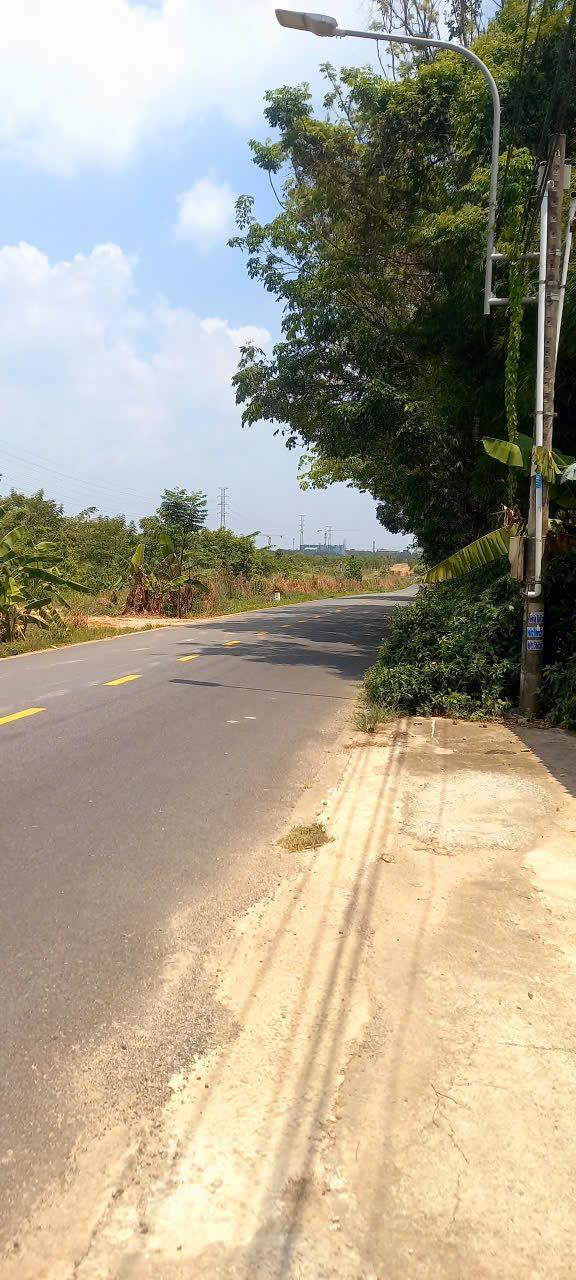 Đất Bàu Bàng Bình Dương 6553m² Mặt Tiền Nhựa - Xây Kho Xưởng Ngay