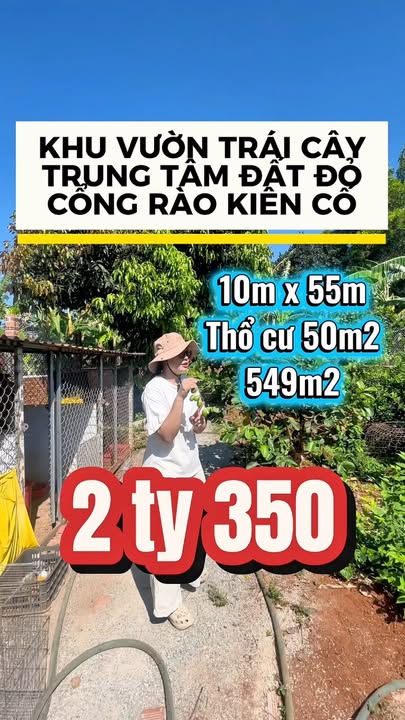 Đất Vườn Thị Trấn Đất Đỏ, Bà Rịa - Vũng Tàu 549m² - Giá Đầu Tư 2.35 Tỷ