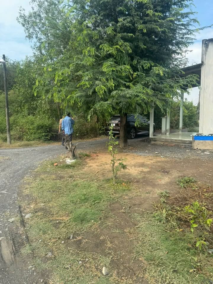 Bán Đất Hưng Long Bình Chánh 650m² - Sẵn Sổ Hoàn Công, Ô Tô Vào Tận Nơi