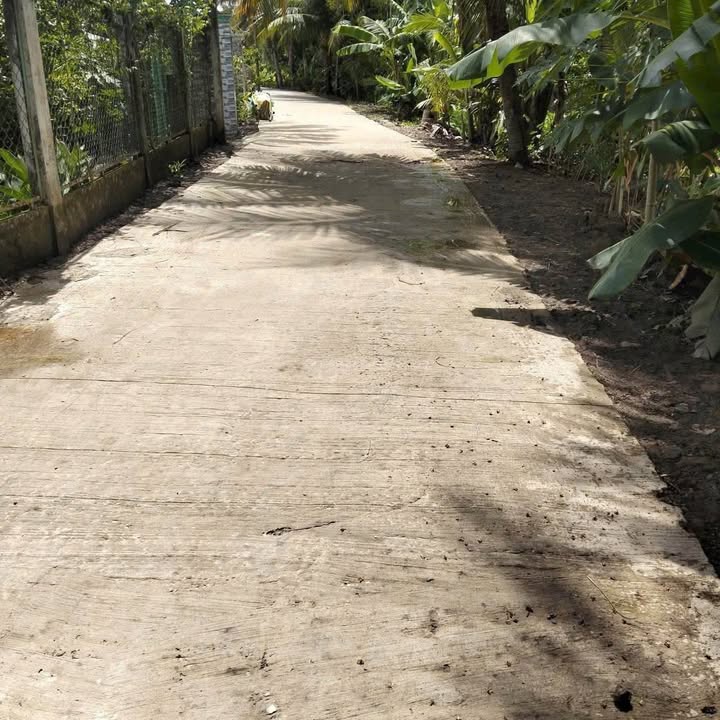 Bán Nền Đẹp Long Phước, Long Hồ 115m² Thổ Cư - Sẵn Sàng Xây Dựng