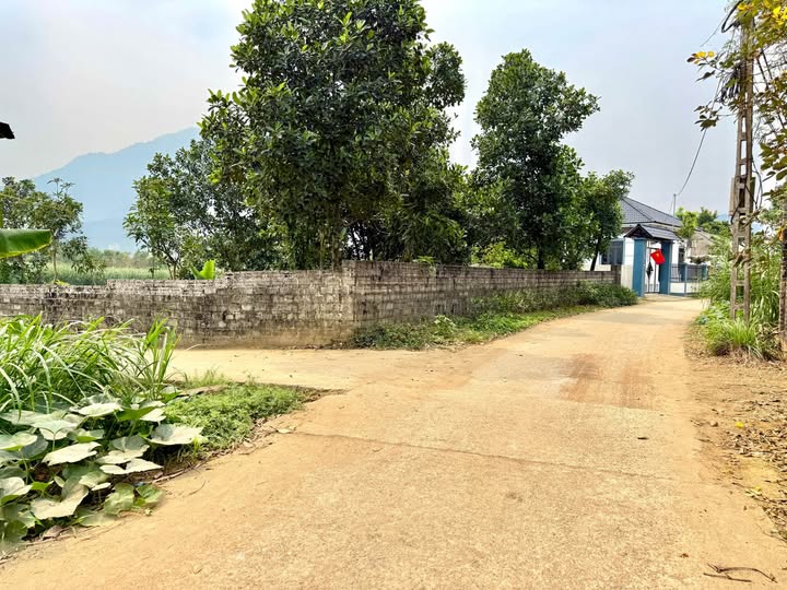 Đất Lô Góc 504m² Yên Bài, view núi Ba Vì - Sẵn Sàng Xây Dựng