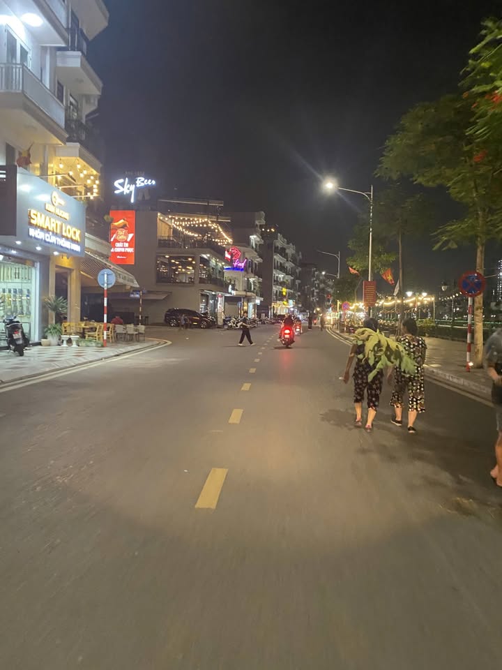 Đất nền góc đường Thế Lữ, Hải Phòng - 40m² sổ đỏ, giá 5.6 tỷ