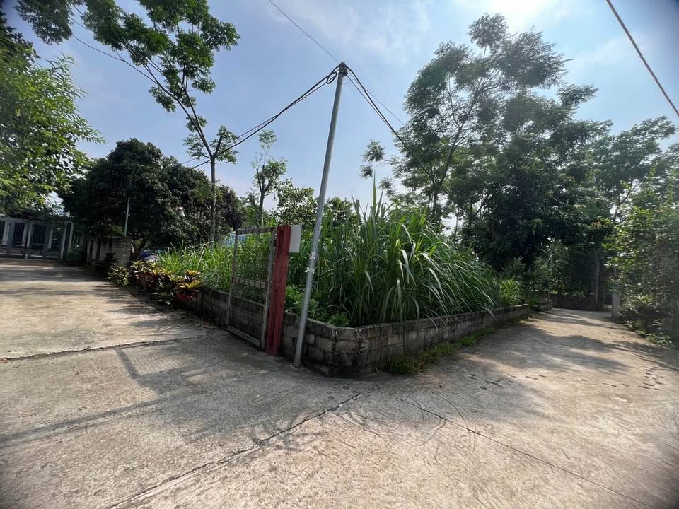 Đất Lô Góc 360m² Yên Bài, Ba Vì - Sẵn Sàng Đầu Tư Sinh Lời