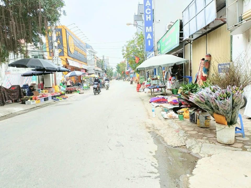 Đất Vàng Quốc Oai 118m² - 5 Phòng Trọ Sẵn Thu Nhập, Sổ Đỏ Vuông Vắn