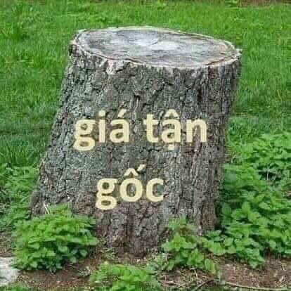 Bán Đất Lô Góc 112m² Xuân Mai, Chương Mỹ - Giá Nhỉnh 2 Tỷ, Sẵn Nhà Ở Ngay