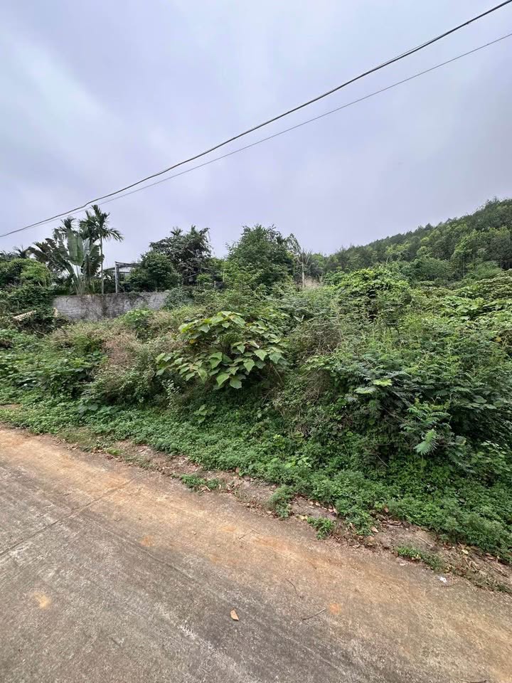 Đất Vườn 1080m² Phú Mãn, Quốc Oai - Sổ Hồng Sẵn Sàng - Giá Đầu Tư