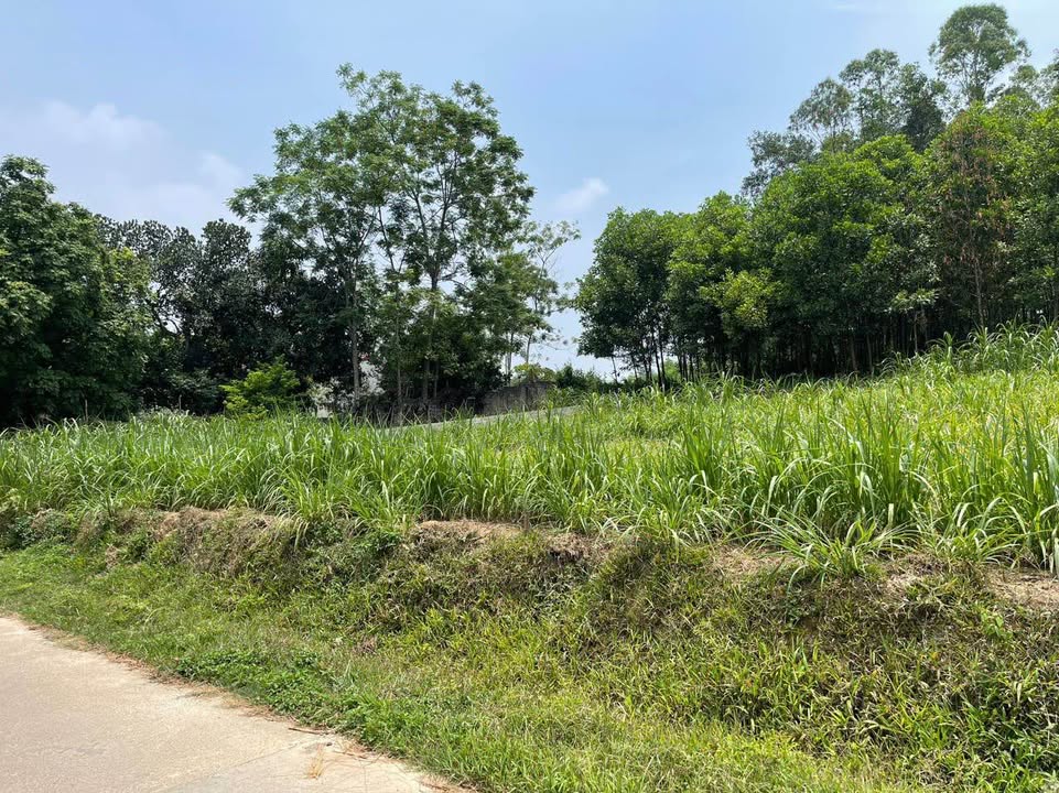 Đất Vàng Nam Phương Tiến 741m² - Mặt Tiền 34m - Sổ Đỏ Sẵn Sàng