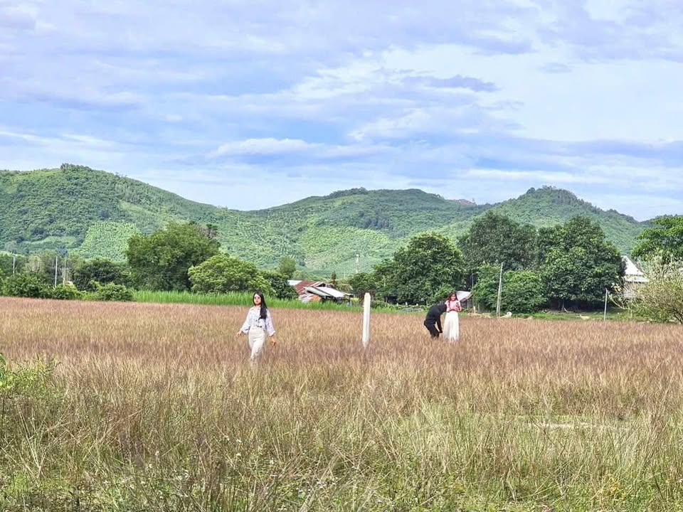 Đất Vườn Diên Tân Diên Khánh 677m² - View Hồ Cây Sung, Giá Đầu Tư 350 Triệu