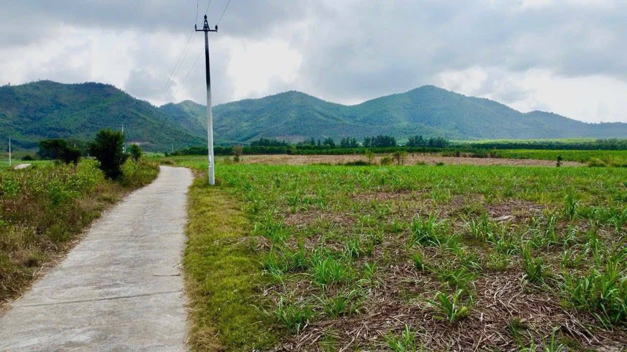 Đất Ninh Hòa 555m² - Sổ đỏ chính chủ, gần DT6