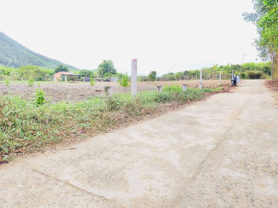 Đất Vườn Diên Thọ 677m² - View Hồ Cây Sung Mát Mẻ - Giá 350 Triệu