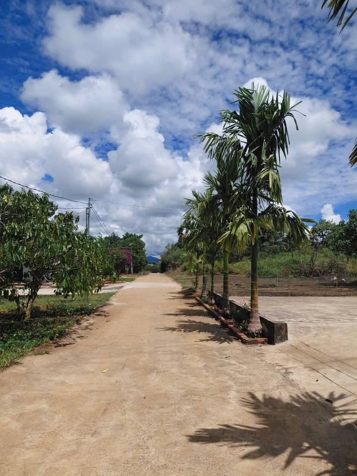 Đất nền 266m² Hòa Nam, Di Linh - Sổ đỏ thổ cư, giá 680 triệu