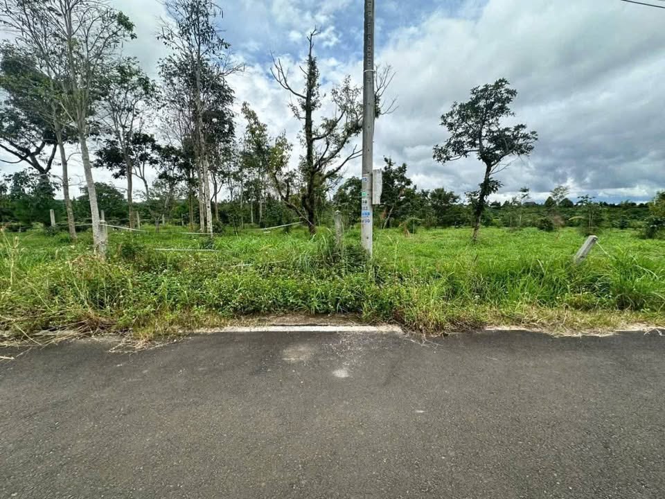 Đất Vườn Bảo Lộc 4204m² Sổ Hồng, Gần Dân Cư - Giá Cắt Lỗ 10.5 Tỷ