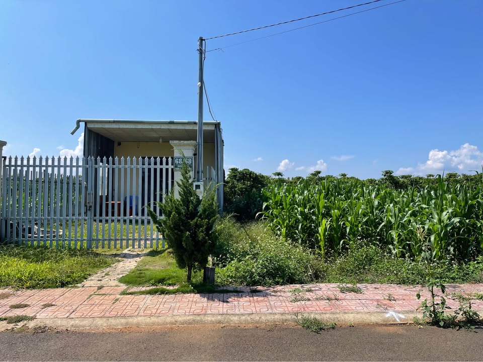 Bán Gấp Đất Nền Bảo Lâm 135.7m² - Sẵn 75m² Thổ Cư - Giá Cắt Lỗ 550 Triệu