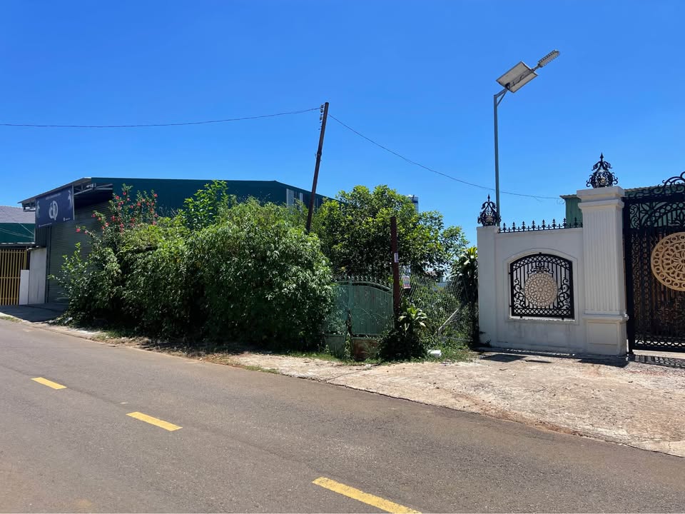 Bán Gấp Đất Mặt Tiền Kinh Doanh Mạc Đỉnh Chi, Bảo Lộc - 359.5m² Thổ Cư