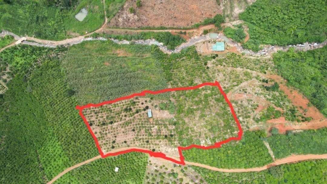 Đất Nền Bảo Lâm 9200m² View Cao Thoáng, Ôm Suối - Giá Đầu Tư 4.4 Tỷ