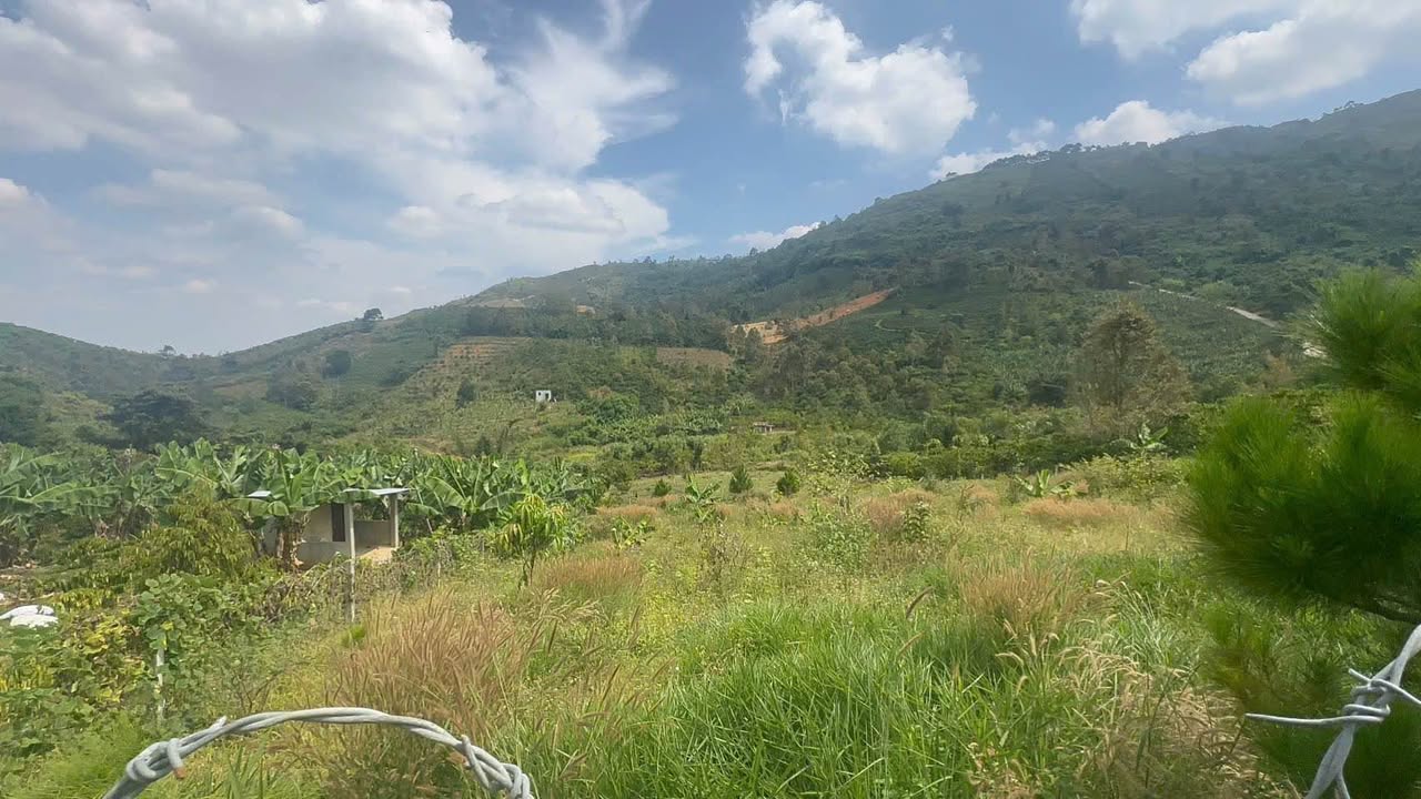 Bán Đất Nền 7200m² Mặt Tiền Đường Nhựa Lộc Châu, Bảo Lộc - View Thoáng Đẹp