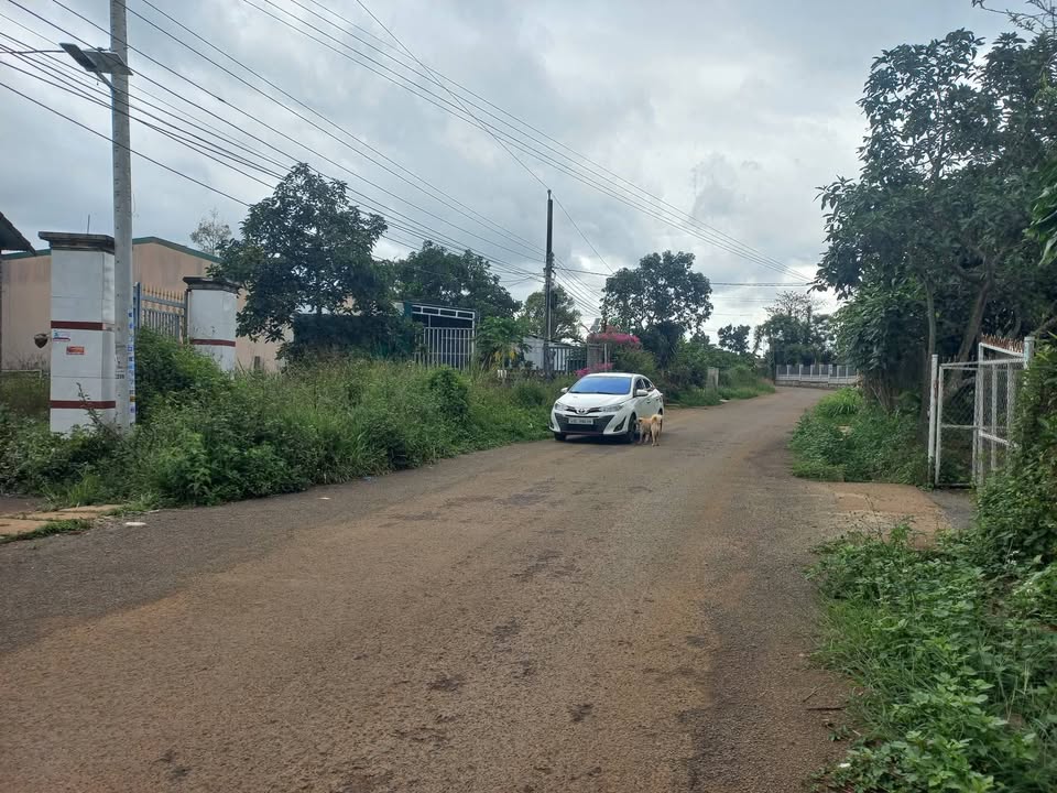 Đất Tặng Nhà Mái Thái Xịn Sò - 193m² Thổ Cư, Lộc Đức, Bảo Lâm