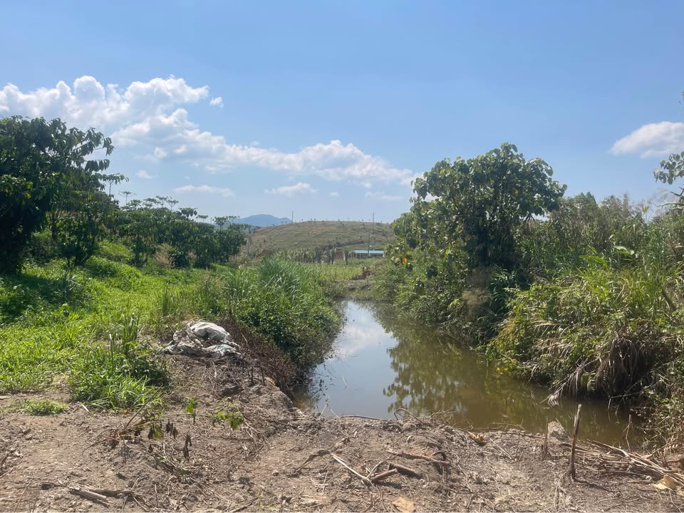 Bán Đất Farm 31.000m² Tỉnh Lâm Đồng - Gần Hồ HT Lộc Bảo, Sổ Hồng Sẵn