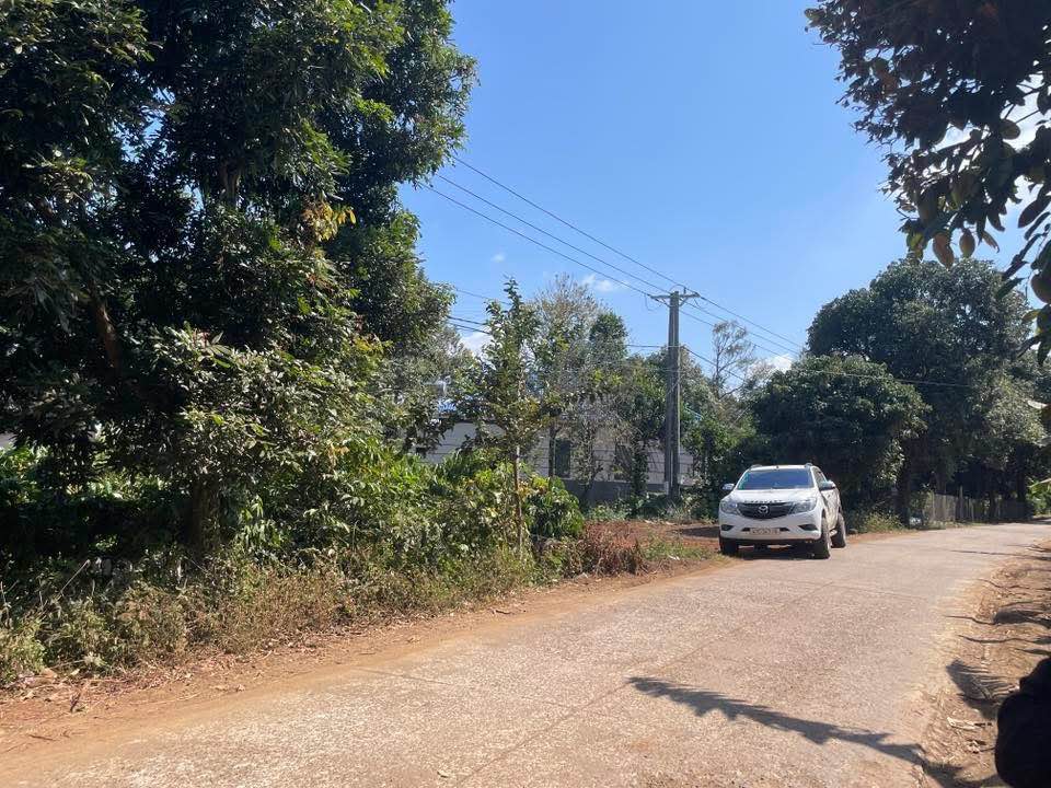 Đất Mặt Tiền Buôn Phê, Krông Pắc 9600m² - Giá Đầu Tư 192 Tỷ