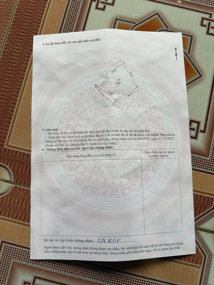 Đất Nền Ba Vì 200m² - Sổ Đỏ Sẵn Sàng, Đầu Tư Sinh Lời