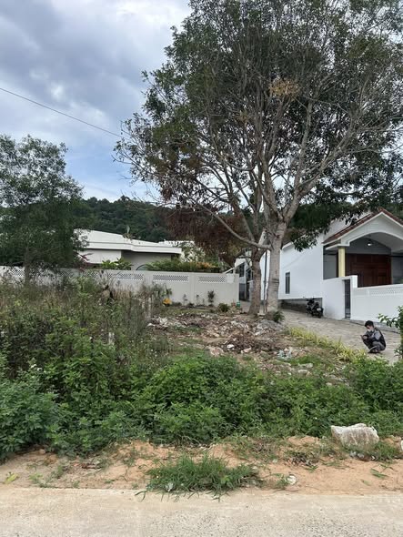 Đất nền Nguyễn Trung Trực 120m2 2.3 tỷ - Sổ hồng riêng