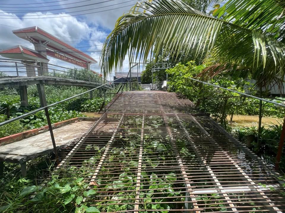 Bán Nền 146m² Thổ Cư Mỹ Hòa, Long Xuyên - Giá Tốt