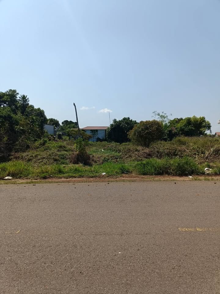 Cho thuê đất 600m² MT Phan Đình Phùng, Bảo Lộc - Sẵn sàng làm kho xưởng