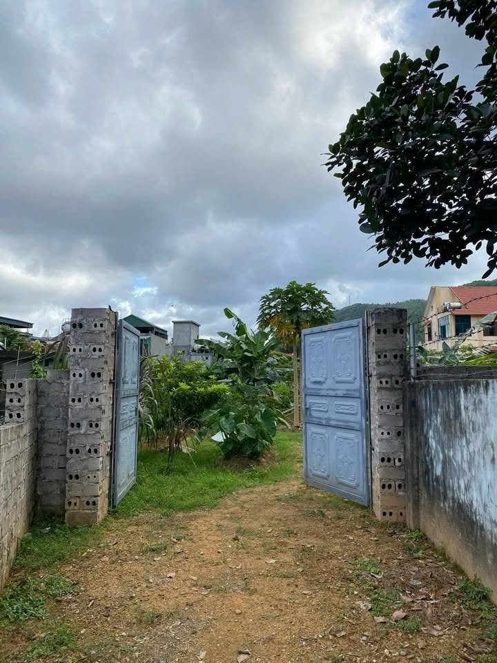 Đất Vườn Quang Hanh 328m² - Sẵn Sàng Đầu Tư Sinh Lời