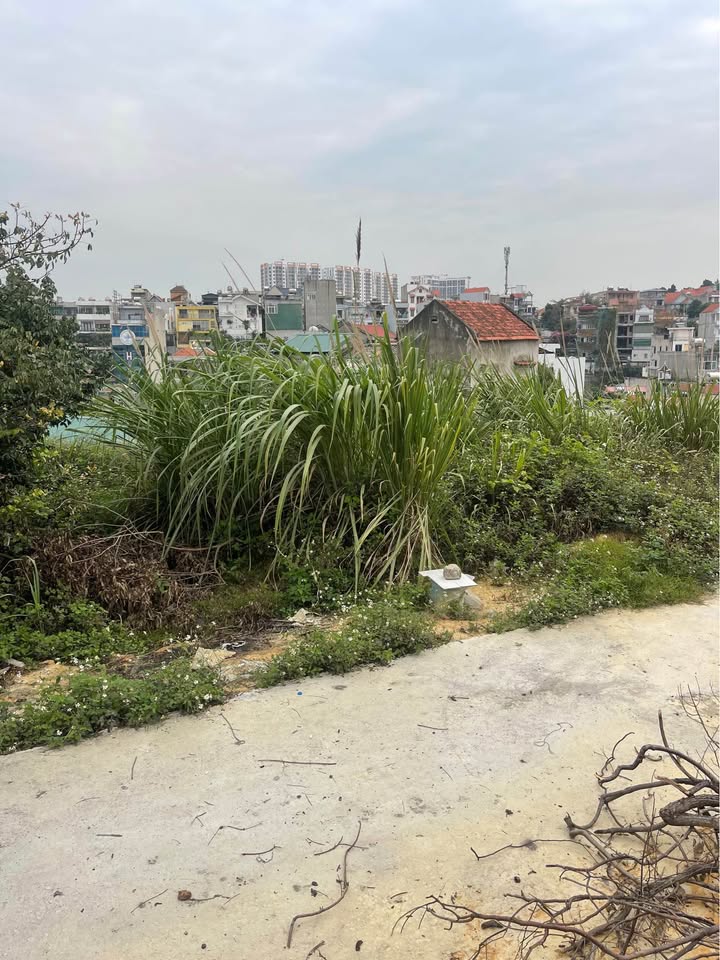 Đất Nền Bạch Đằng Hạ Long 65m² - Giá 750 Triệu - Sổ Đỏ Rõ Ràng