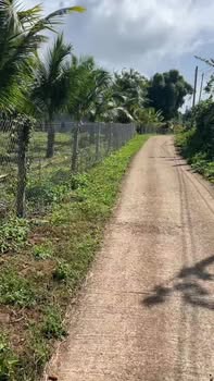 Đất Vườn Đẹp 4320m² Buôn Ma Thuột - Mặt Tiền Bê Tông 43m - Giá 1.65 Tỷ