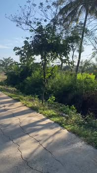 Đất Vườn 38m Mặt Tiền Đường, 722 Triệu/Tỷ - Krông Ana, Đắk Lắk