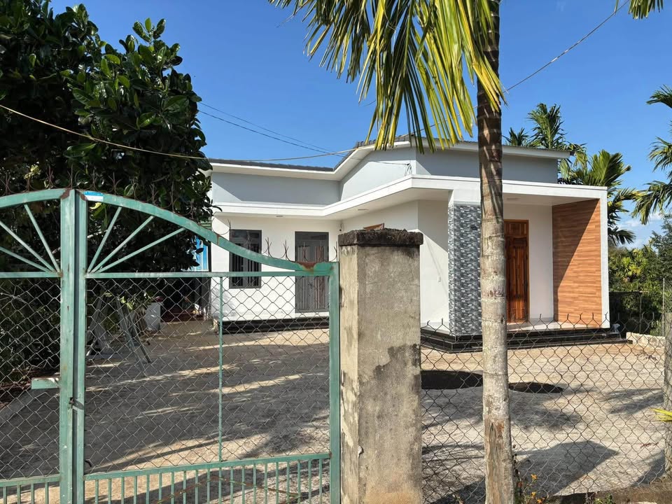 Bán Gấp Nhà Vườn 3236m² Đắk Lắk - View Ruộng Mát Mẻ, Sẵn Sàng Ở Ngay