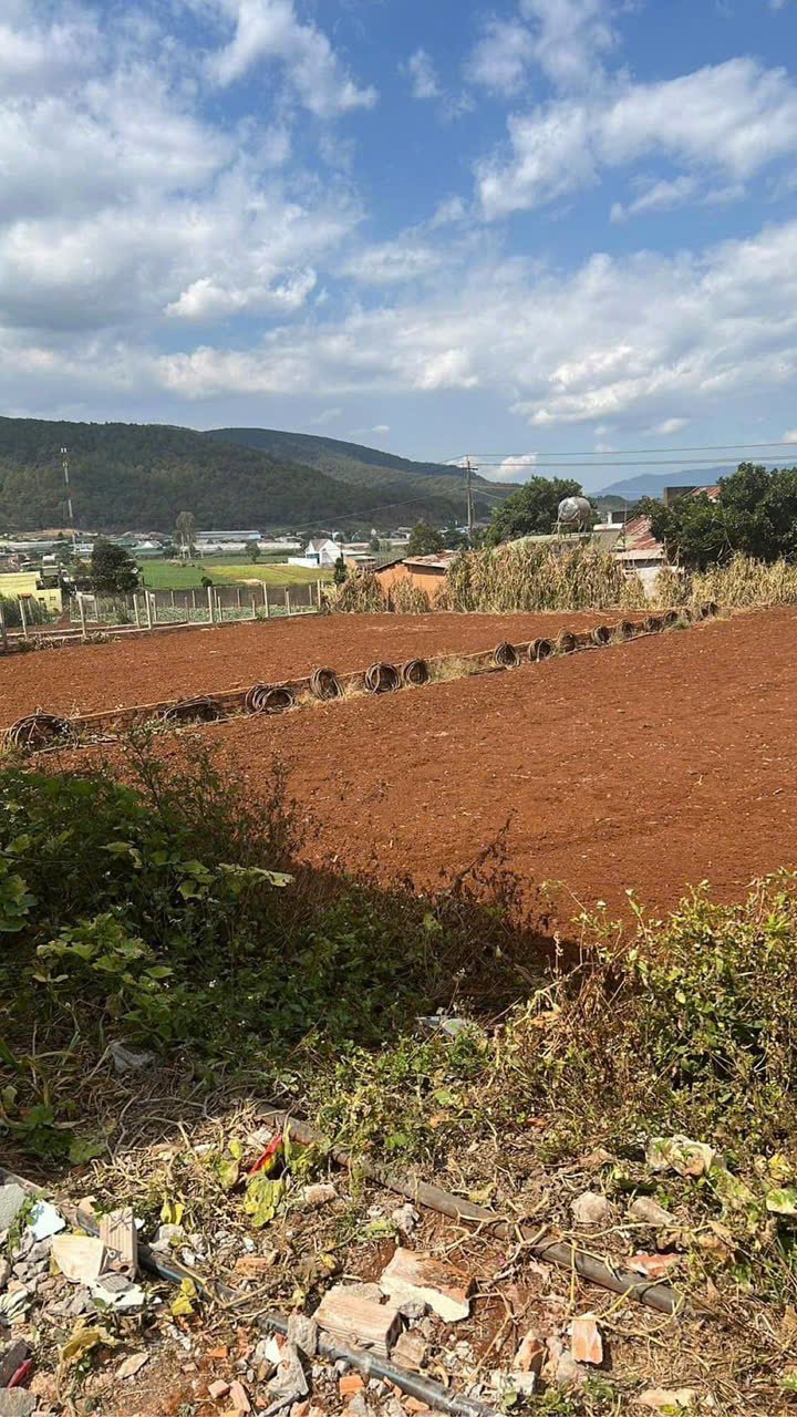 Đất Nền Mặt Tiền Đạ Ròn 490m² - Sổ Hồng Riêng, Giá 1.55 Tỷ