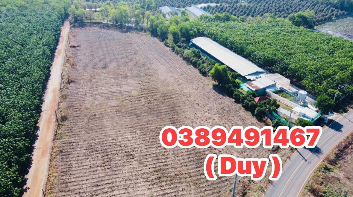 Đất Minh Thạnh Dầu Tiếng 260m² - Mặt Tiền Đường, Giá Tốt Đầu Tư