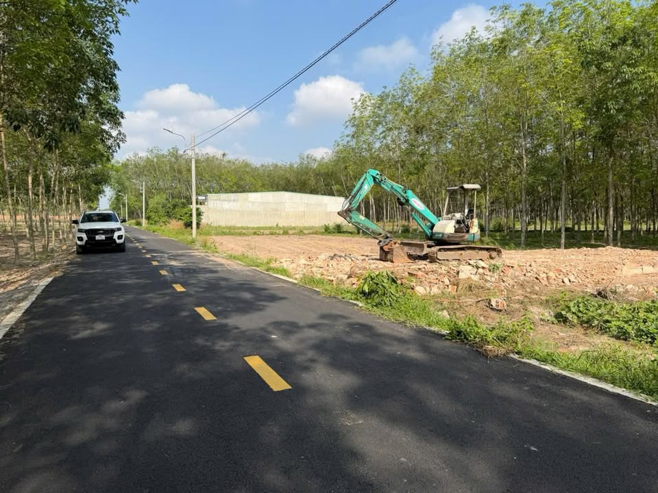 Đất Nền RichLand Bàu Bàng 100m² - Sổ Sẵn 400 Triệu, Gần KCN VSIP2