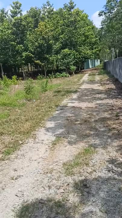 Đất nền Phú Giáo 444m² - Sổ hồng TC, Giá chỉ 850 triệu - Lô đẹp, dân cư đông đúc