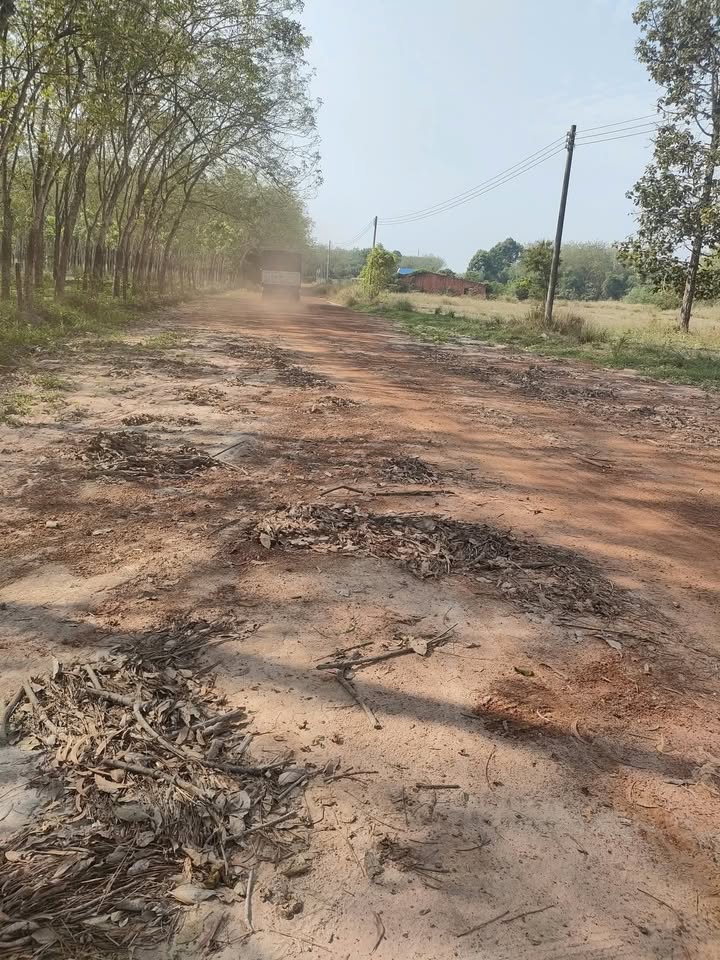 Bán gấp đất vườn Thanh Tuyền, Bình Dương 10.000m² - Mặt tiền 6m