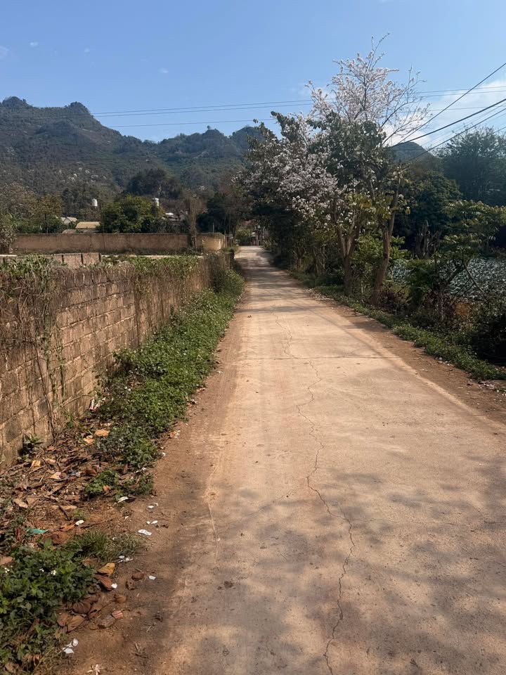 Đất Vàng 800m² Mặt Tiền Đường 34m Phường Mộc Sơn, Từ Sơn - Kinh Doanh Đỉnh Cao