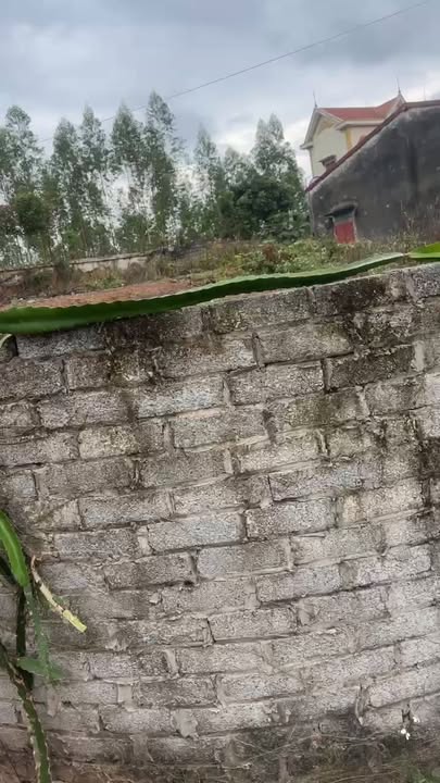 Đất nền Lục Nam, Bắc Giang 180m² - Sổ hồng thổ cư, tiềm năng KCN