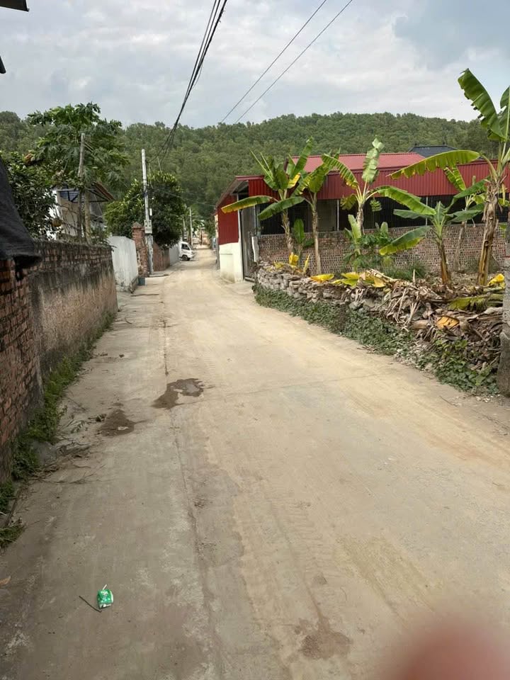 Bán Đất Nền 90m² Sổ Đỏ Riêng - Phường Cộng Hòa, Quảng Yên